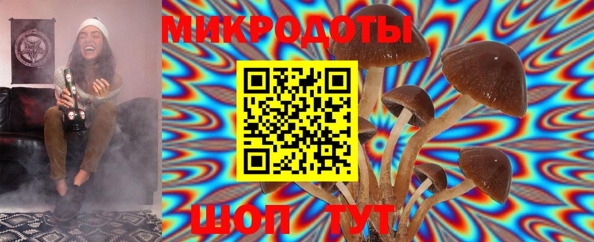 Галлюциногенные грибы GOLDEN TEACHER  Псилоцибиновые грибы мухоморы  купить наркоту  Вход с VPN  Среднеуральск 