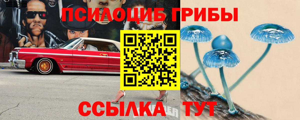Галлюциногенные грибы прущие грибы Среднеуральск